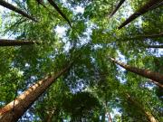 Capbreton Vente Appartement 40