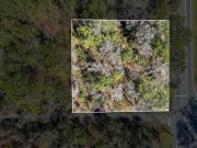 Capital Cir Nw, Tallahassee, Plot For Sale