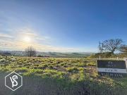 Caraman Vente Terrain 31