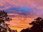 CARAPICUÍBA, VILA DIVA SOBRADO 307M², 3 DORMS, 1 SUÍTE...