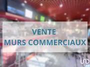 Carcassonne 11000 Achat / Vente divers