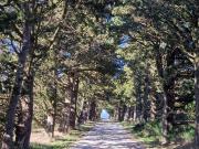 Carcassonne Vente Ferme 11