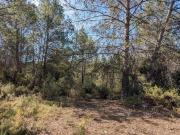 CARCES Terrain 20.170m² avec vue sur le Lac