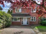 Cardinal Close, Colchester CO4, 6 bed property to rent,...