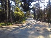 Carilo|lote en calle Palmera y Jilguero