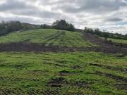 Carlanstown CastletownFinea Castlepollard Co Westmeath