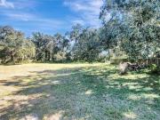 Carol Dr, Wesley Chapel, Plot For Sale