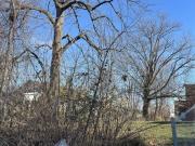 Caroline Ave Lot,indianapolis, Plot For Sale