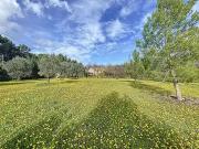 Carpentras 84200 Achat / Vente maison 12 pièces t12 cave