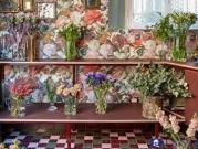 Carrara monolocale 40mq