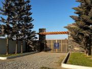 Carretera hacia hacienda San José EL CARMEN CHINCHA