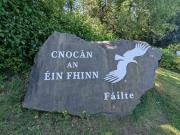 Carrigeen, Birdhill, Co Tipperary is for sale