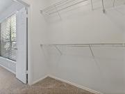 Carrington Park 3 Bedroom Apartment for Rent at 3001...