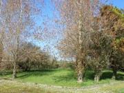 Carrowcraheen, Tubber, County Clare, H91 CR4A