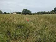 Cars 33390 Achat / Vente terrain