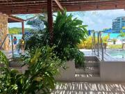 Cartagena Apartamento en Arriendo Zona norte