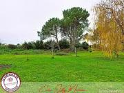 Cartelègue 33390 Achat / Vente terrain