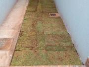 Casa 150m² Alto Padrão 3 Quartos 2 Suítes Piscina Setor...