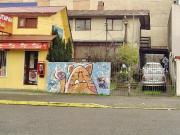 Casa 160 M2 Con Terreno De 312 M2 A Pasos Del Centro!