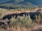 Casa 1 Dormitorio Alicante Communidad Valencia ES81224192