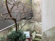 Casa 250 m² para locação? 3 dormitórios? 5 vagas?...