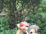 Casa, 293 m² venda por R$ 2.650.000,00 ou aluguel por R$...