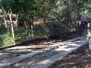 Casa 2 dormitÃ³rios Ã venda Vila Nova Porto Alegre/RS