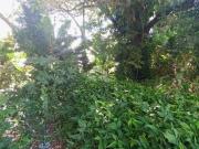 CASA 2 QUARTOS, EM CANOAS NO BAIRRO OLARIA