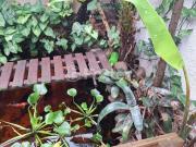 Casa, 3 dormitórios, 90 m², em Central Park