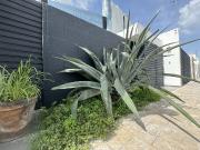 Casa 3 recamaras entrega inmediata Dentro de periferico