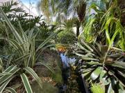 Casa, 430 m² venda por R$ 2.500.000,00 ou aluguel por R$...