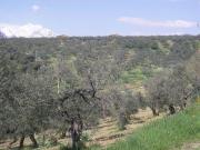 Casa 4 camere da letto, Asti PiemontePiedmont DLS94425453