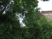 Casa 4 camere da letto, Trecastagni Catania 95039 DS93157514