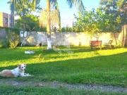 Casa 4 dormitorios com suite e piscina em Nova Santa Rita