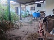 CASA 4QTS ESTILO RAIZ ANTIGA