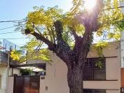 CASA 5 AMB JARDIN PILETA Y COCHERA V. BALLESTER