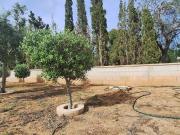 Casa 7 Dormitorio Elche Alicante ES95087092