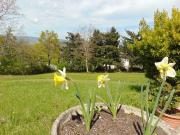 Casa 9 camere da letto, Milano LombardiaLombardy ES94425296