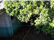 Casa a reformar situada en la localidad de...