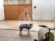 Casa à venda, 05 dormitórios sendo 01 suíte, Jardim Nova...