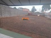 Casa à venda, 1 quarto, 5 vagas, Vila Santa Isabel...