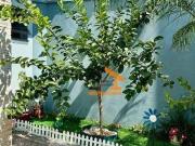 Casa à venda, 275 m² por R$ 1.250.000,00 Giardino D...