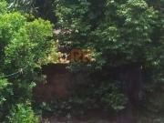 Casa à venda, 3 quartos, 1 suíte, 1 vaga, Inconfidência...