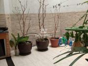 Casa à venda, 3 quartos, 1 suíte, 2 vagas, GLORIA...