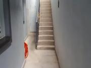 Casa à venda 4 quartos 2 vagas Palmares Santo André SP