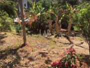 Casa à venda, 5 quartos, 1 suíte, 4 vagas, Palmeiras...