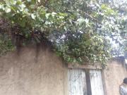Casa com 2 quartos à venda em Belo Horizonte, no bairro...