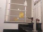 Casa à venda em Anhangüera