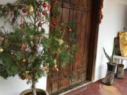 Casa à venda em Contagem MG, bairro Arvoredo: 4 quartos,...