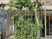 Casa à venda em Coqueiros